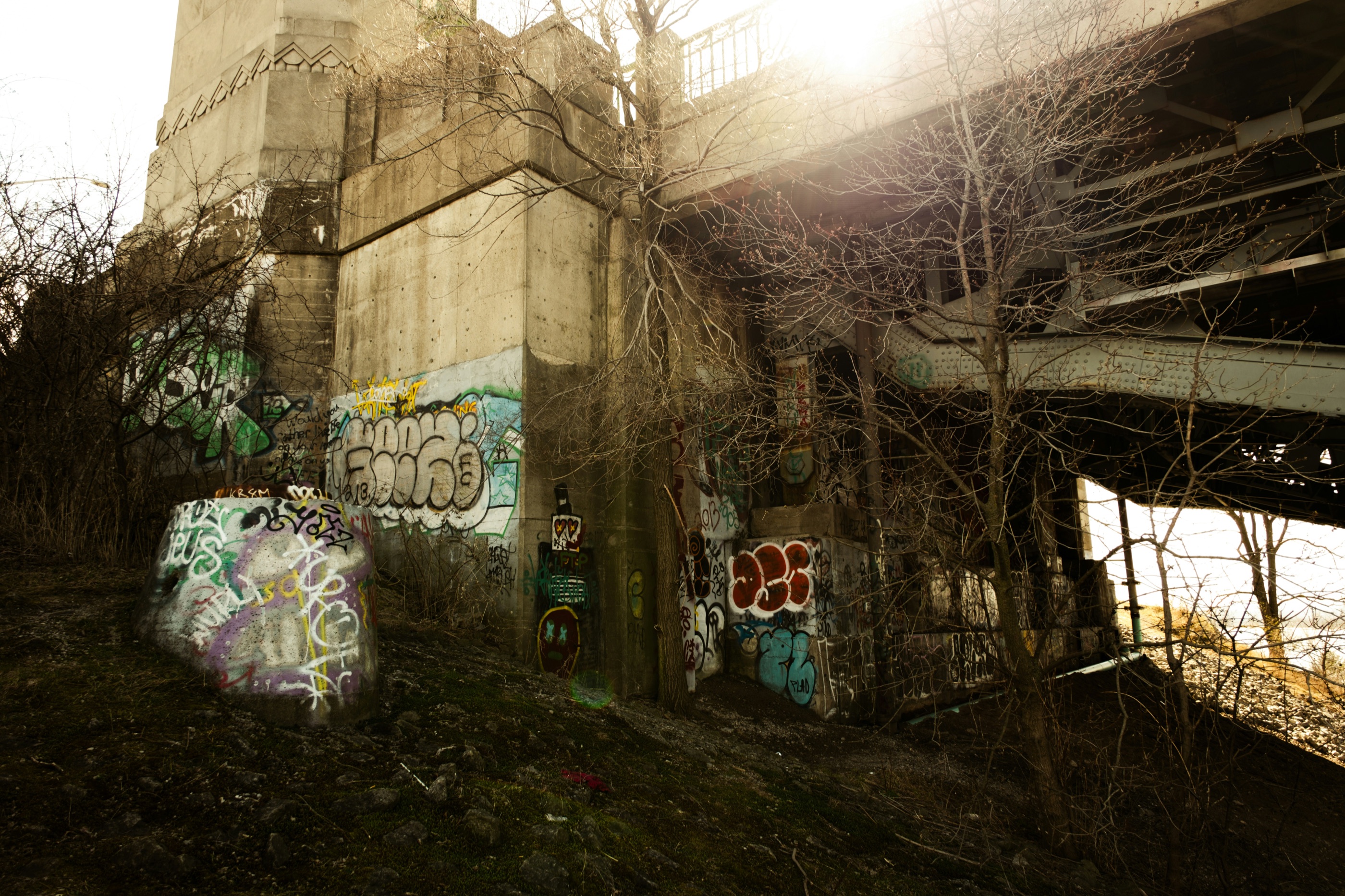 Sunlight reaches a graffiti-covered concrete bridge surrounded by bare trees